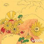 Woods - Blood Dries Darker