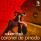 La Chica del Tren - Roberto Firpo lyrics