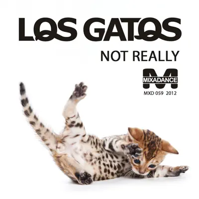 Not Really - Single - Los Gatos