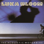 Luka Bloom - The Acoustic Motorbike