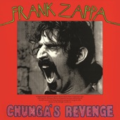 Frank Zappa - Transylvania Boogie