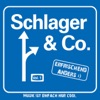 Schlager & Co., Vol. 1 (Die schönsten Schlager von Peter Sebastian)