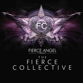 Don't Tell Me Goodbye (feat. Polina) [Ek's Fierce Disco Mix] The Fierce Collective