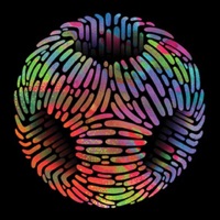 Futura Vía - Bam Bam