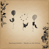 Skunk in the Cellar - EP - Shantanu Pandit