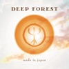 Deep Forest - Sweet Lullaby