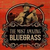 The Most Amazing Bluegrass