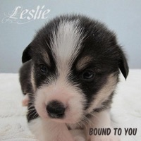 Bound to You - Single - Leslie