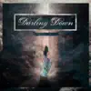 Darling Down - Never Tell
