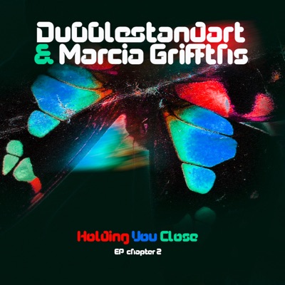 Holding You Close (Silly Walks Discotheque Remix) artwork