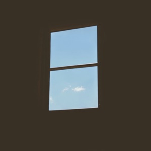 Vergezichten - Single
