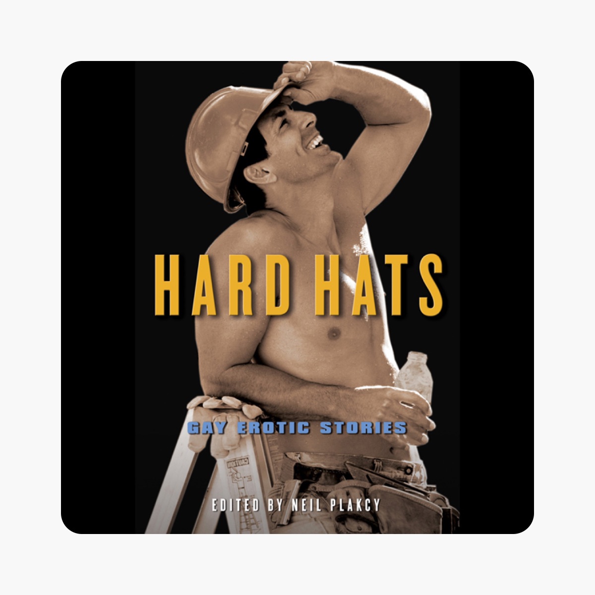 Hard Hats: Gay Erotic Stories (Unabridged) on Apple Books