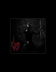 I Liedを聴いたり、ミュージックビデオを鑑賞したり、経歴やツアー日程などを確認したりしましょう！