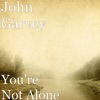 John Garvey, University of Illinois Musical Ensemble, Chorus of Lost Musicians & Freda Schell - You're Not Alone