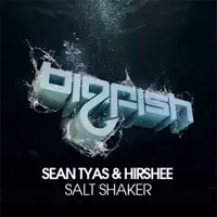 Salt Shaker (Original Mix) — Hirshee & Sean Tyas