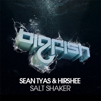 Salt Shaker - Single