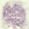 Soltera - Kate Simko lyrics