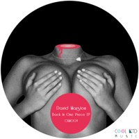 Back in One Piece - Single - David Marston