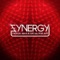 Synergy - Michael Brun & Special Features lyrics