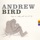 Andrew Bird-My Sister's Tiny Hands