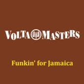 Funkin' For Jamaica (Instrumental) artwork