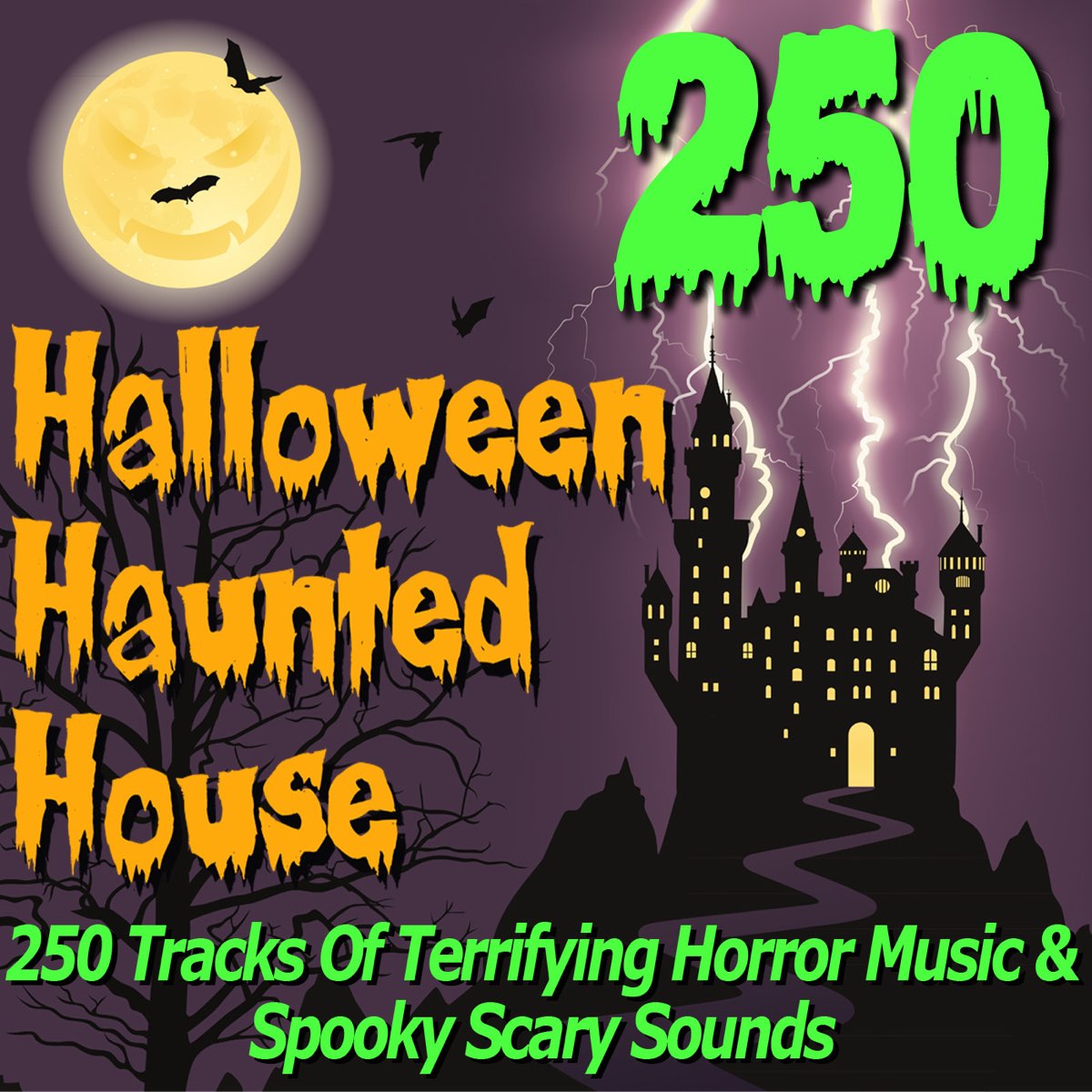 Halloween Haunted House CD - Over 70 Minutes Of Spooky Sounds