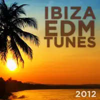 Still Here (feat. Bo Bruce) [Carl Louis & Martin Danielle Remix]