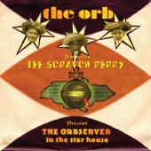 The Orb - Man in the Moon