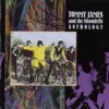 Tommy James & The Shondells: Anthology artwork