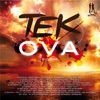 Tek Ova Riddim, 2013