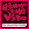 Gimme the Vibe (Club Mix) [feat. Drinks] - Tim Healey lyrics