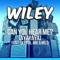 Can You Hear Me? (Ayayaya) [MOTI Remix] - Wiley lyrics