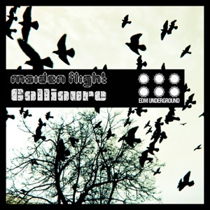 Maiden Flight - Single