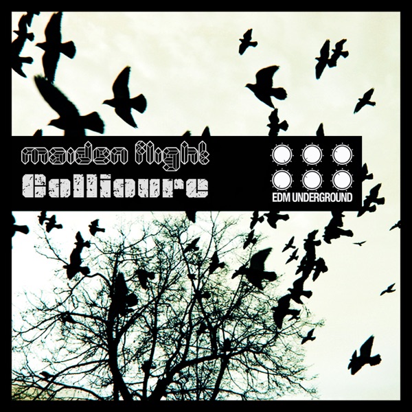 Maiden Flight - Single