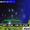 Space Healin cover art