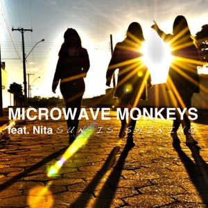 Sun Is Shining (feat. Nita) - Single