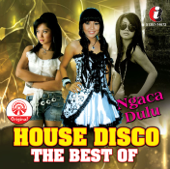 House Disco The Best Of - Ngaca Dulu - Various Artists