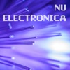 Nu Electronica, 2013