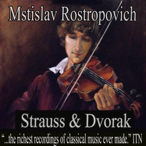 Concerto for Cello in B Minor, Op. 104, B. 191: 1. Allegro