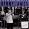 It's Been a Long, Long Time - Harry James and His Orchestra lyrics