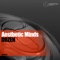 Dozen - Aesthetic Minds lyrics