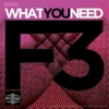 What You Need (Pete Oak Remix)