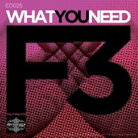 F3 - What You Need (Pete Oak Remix)