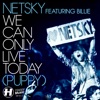 Netsky