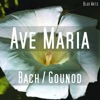 Ave Maria ( Bach , Gounod ) - Single