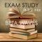 Study Music (Relaxation Piano Music) - Exam Study Classical Music Orchestra lyrics