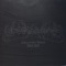 Allure of the Earth - Woods of Ypres lyrics