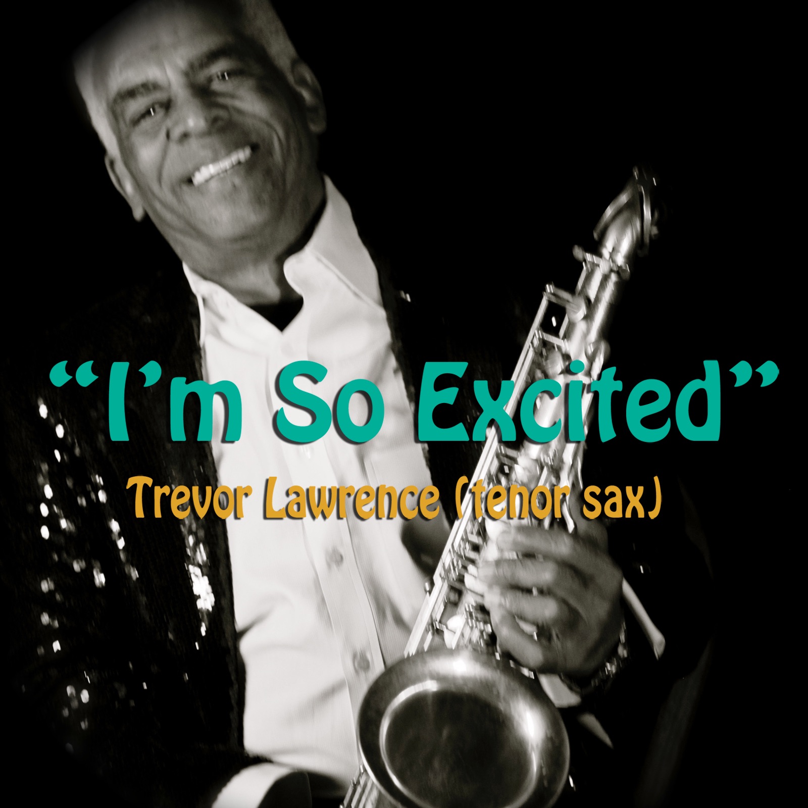 I'm So Excited - Single