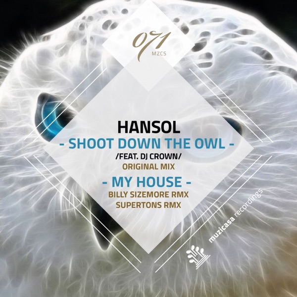 Owl in My House - Single