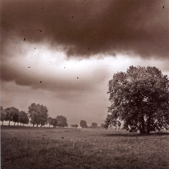 Cover artwork for Choice or Chance